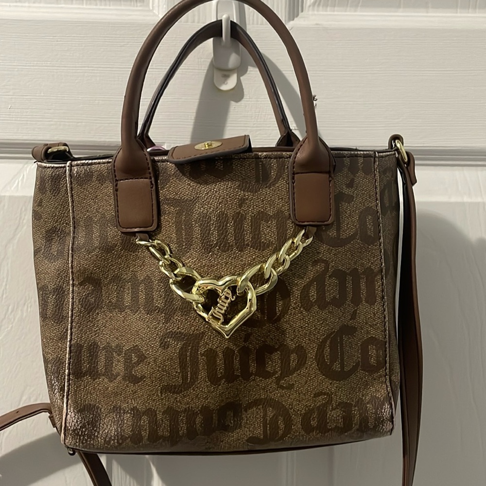 Chestnut juicy bling chain bag ✨